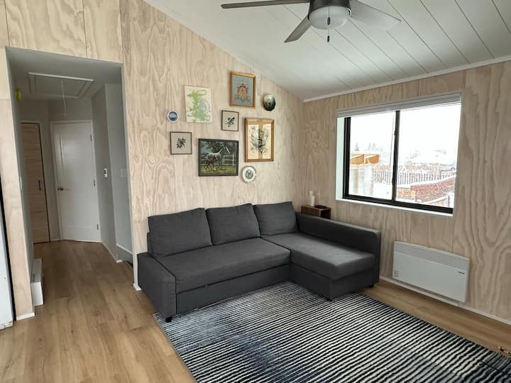 Bright and Airy Home Near Keystone & Breck Houses for Rent in Dillon