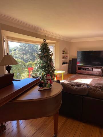 Unique, Colorful Spanish Gem gallery image 5