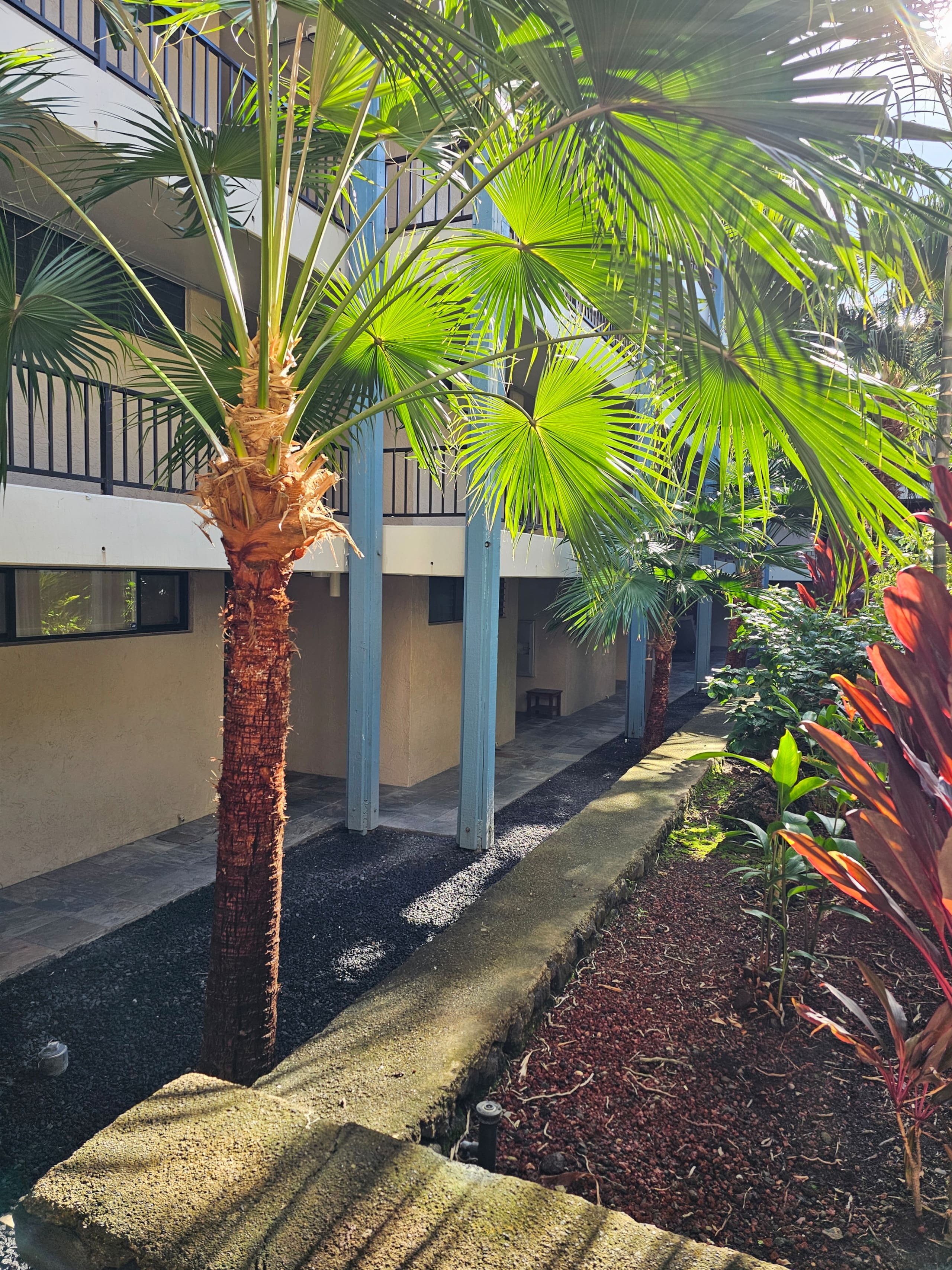 Condo in Kailua-Kona · ★4.95 · 1 bedroom · 2 beds · 1 private bath - Image 33