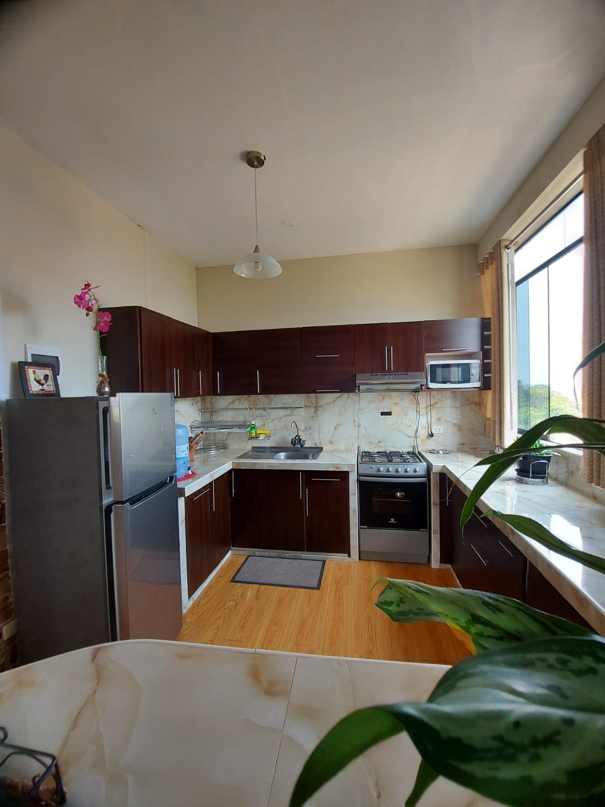 The kitchen features dark wood cabinetry with a modern design, a stainless steel refrigerator, and a stainless steel stove. Natural light fills the space through a large window, complemented by a small potted plant on the counter and a rug placed near the sink.