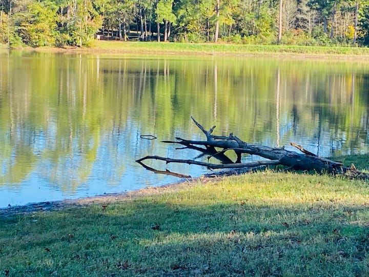 Kountze Cabin Vacation Rentals Texas, United States Airbnb