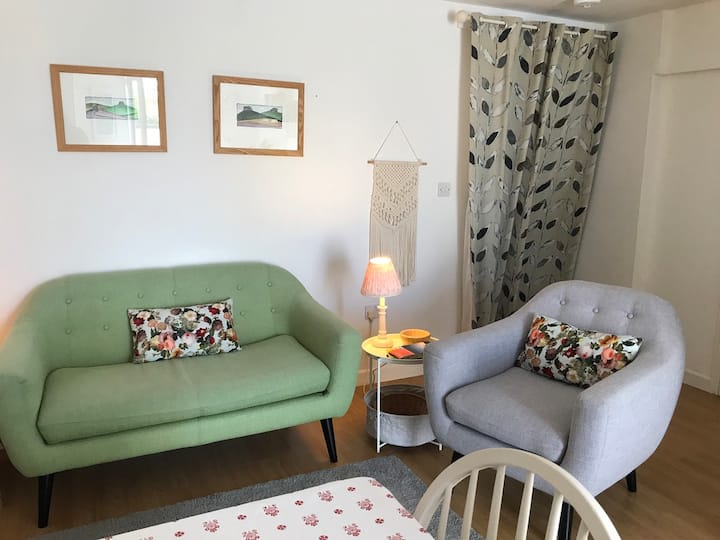 Apartment In A Victorian Town House, Dartmoor - Dartmoor Forest