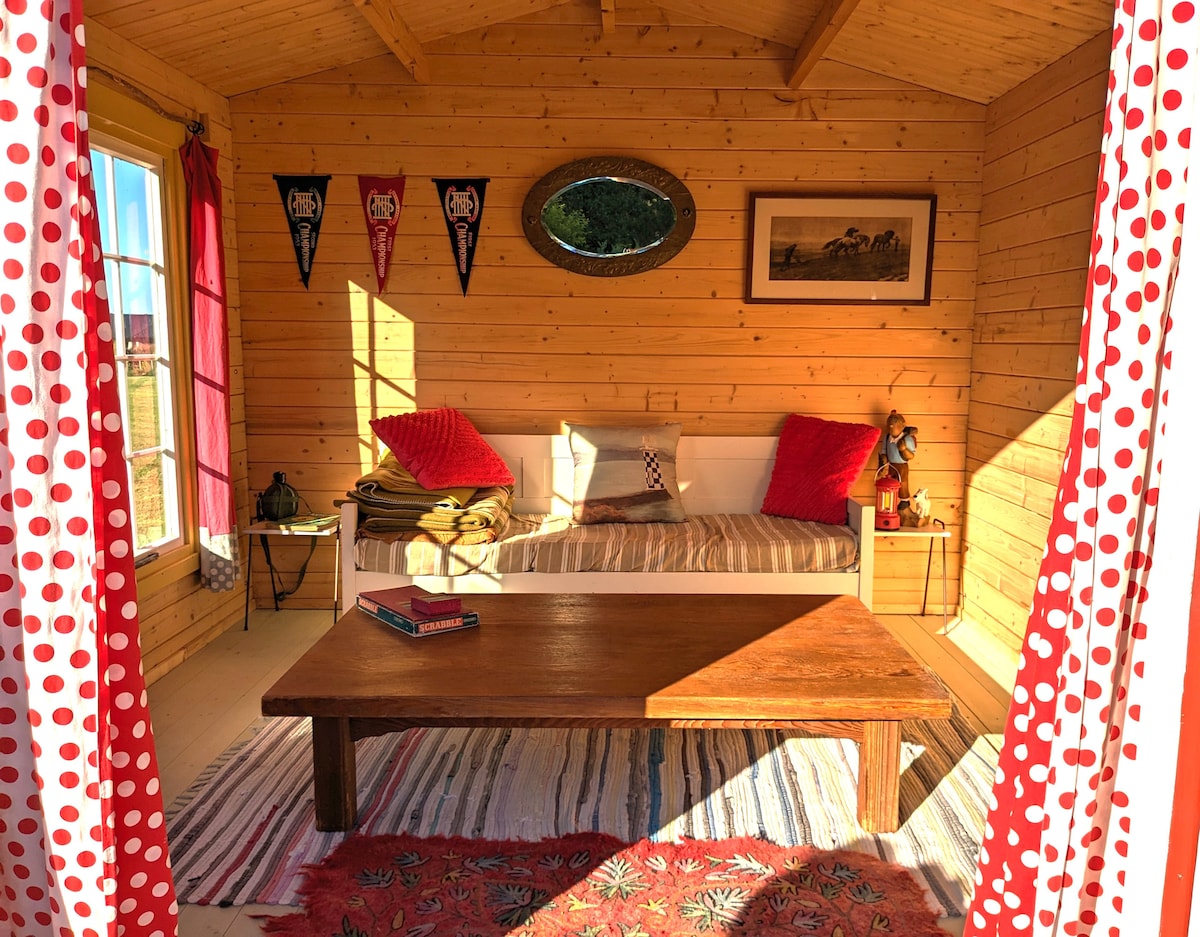 Successful Airbnb property: Rustic cabin in a country meadow in Mangawhai