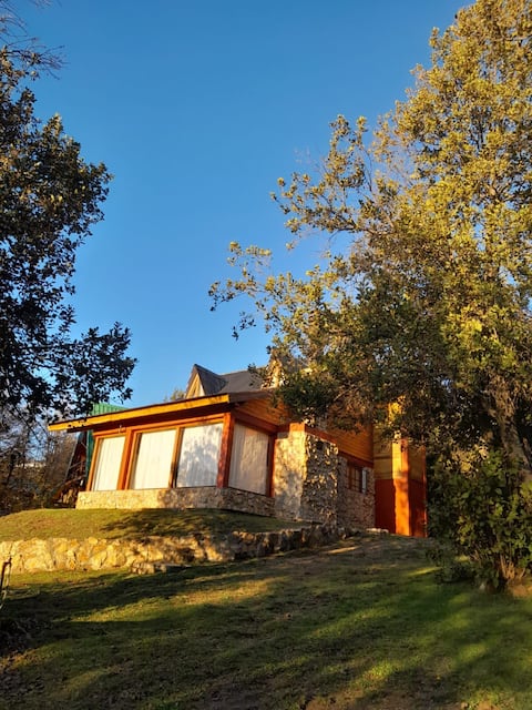 Mountain cabin in Villa Pehuenia