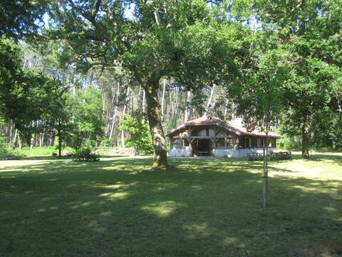 Landes Grand Calme summer 2026