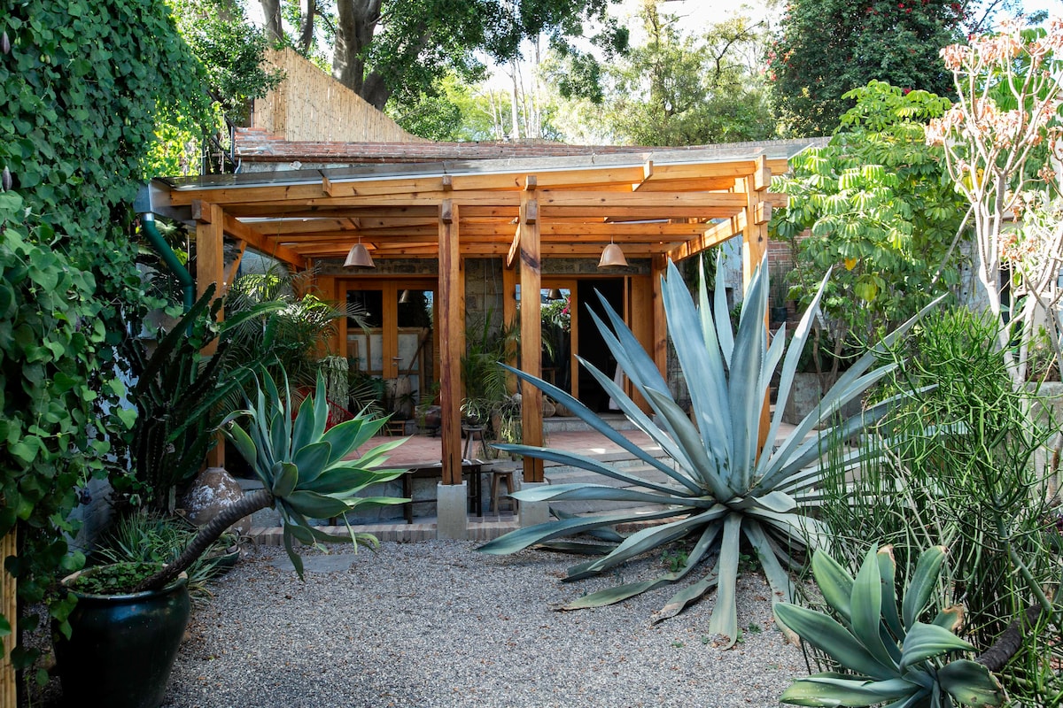 An inviting exterior features a wooden structure surrounded by lush greenery. Large plants, including an agave, enhance the natural setting. The patio is sheltered by a wooden overhang and adorned with hanging lights, providing a serene environment for relaxation.