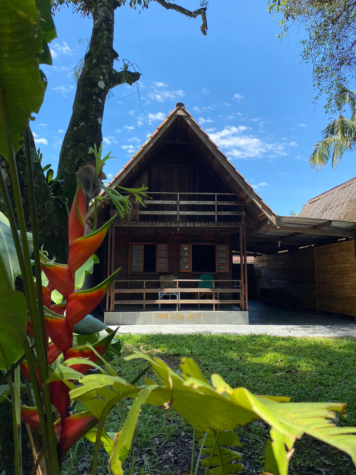 A charming chalet constructed of wood features a distinctive steeply pitched roof. The façade includes multiple windows and a terrace overlooking the surrounding greenery. Vibrant tropical plants frame the entrance, enhancing the natural setting of the space.