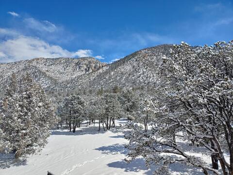 399 Sunshine Ranch