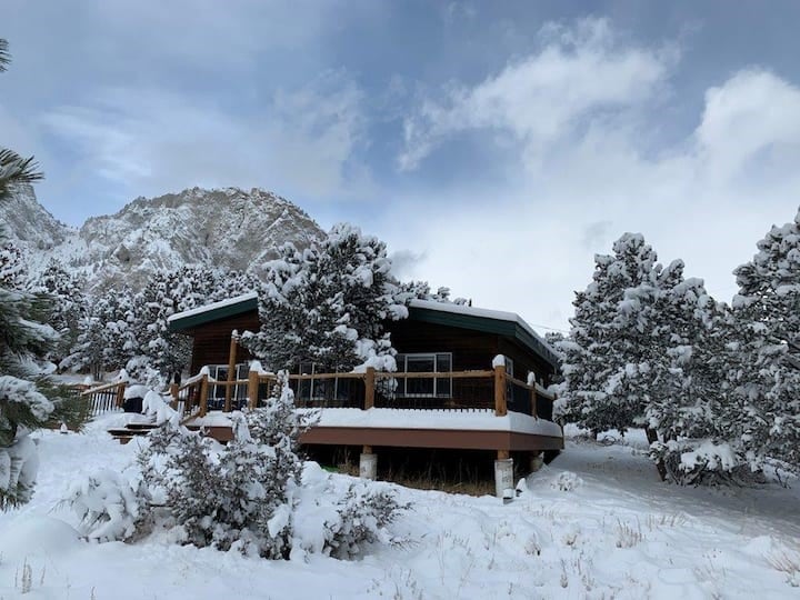 A cozy cabin nestled among snow-covered pines showcases a circular design. Surrounding the cabin, a blanket of snow covers the ground, highlighting the scenic winter landscape. Mountain peaks rise in the background, partially obscured by clouds, creating a serene natural setting.
