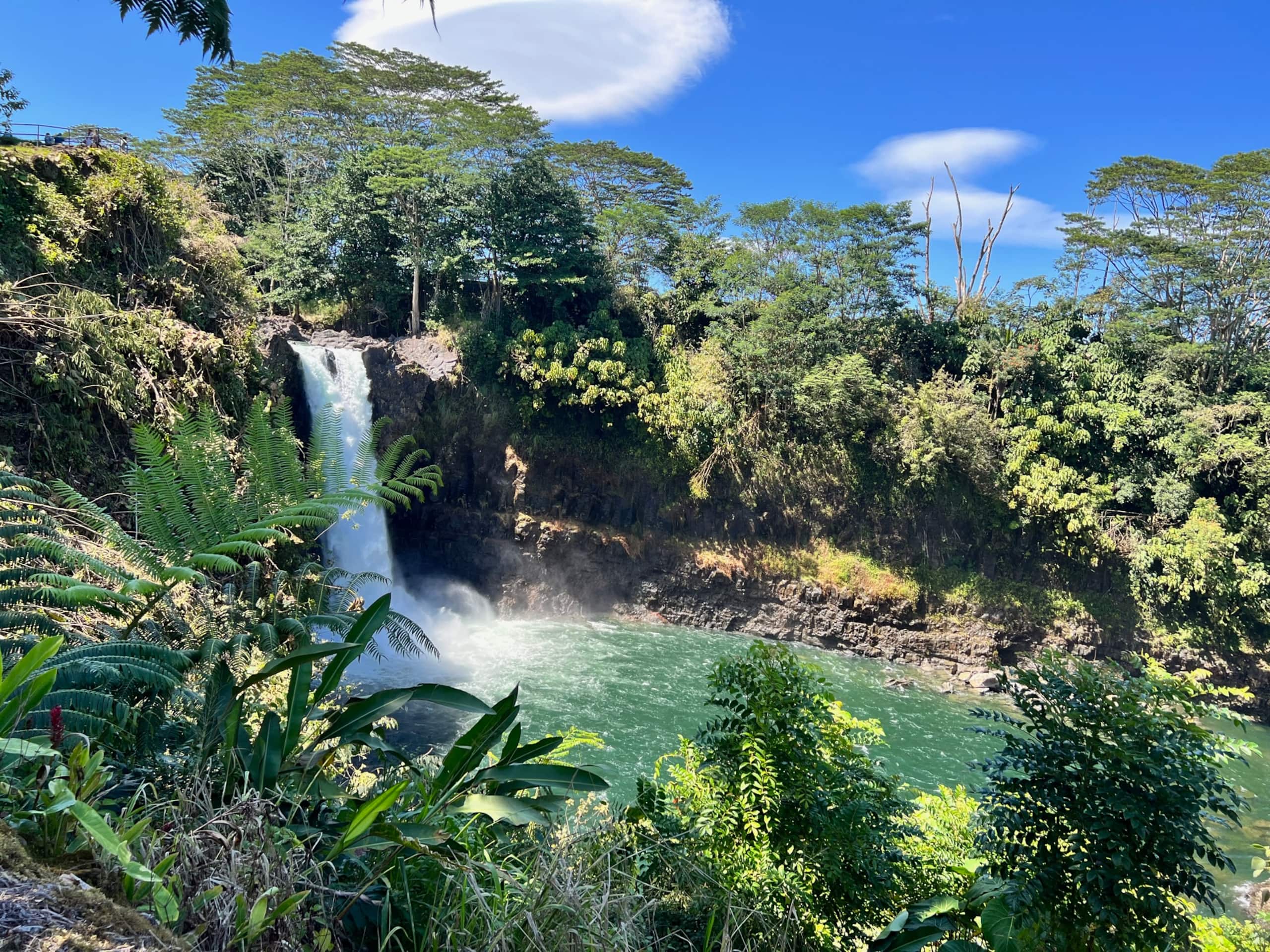 Condo in Hilo · ★4.72 · 2 bedrooms · 3 beds · 1 bath - Image 49