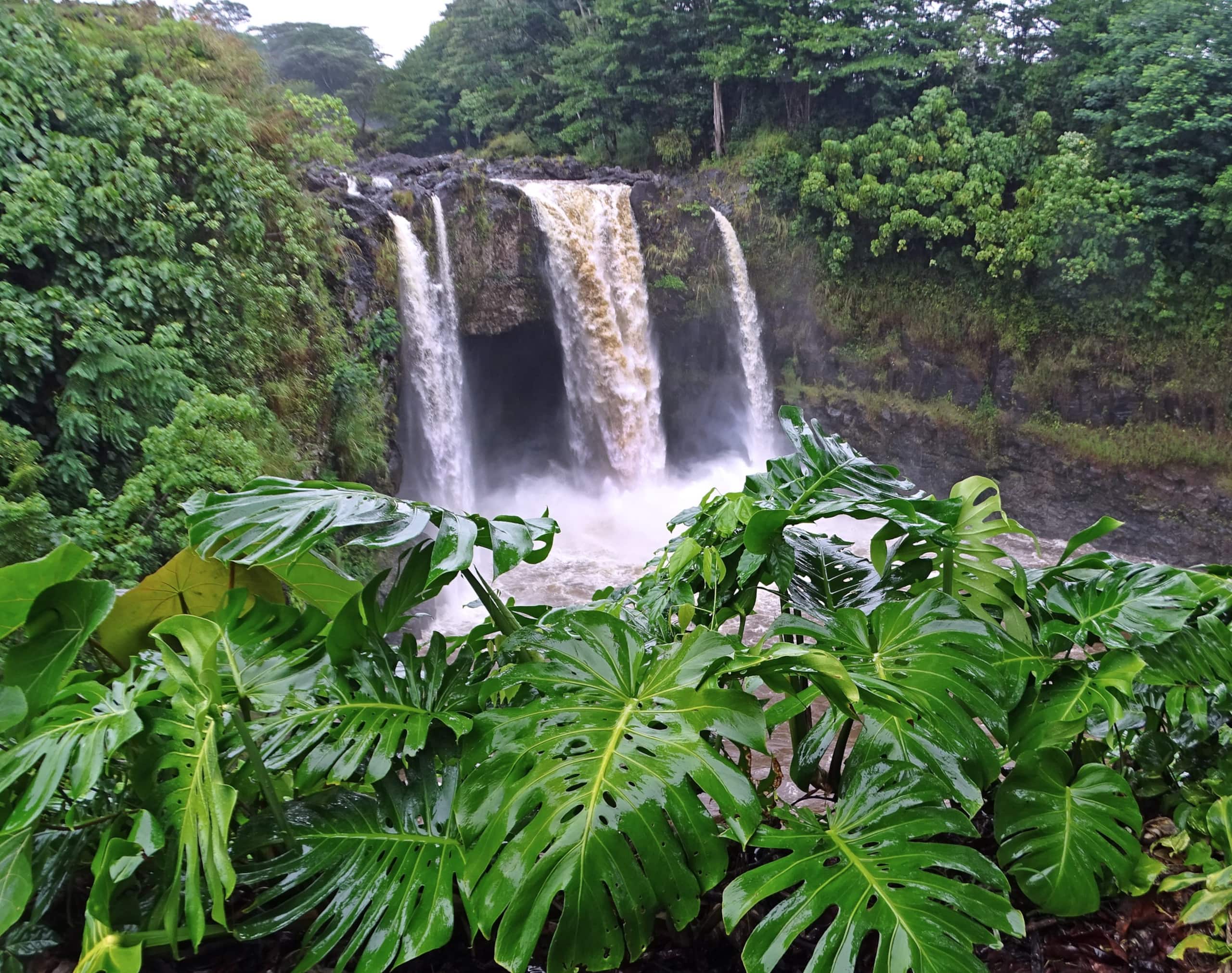 Condo in Hilo · ★4.72 · 2 bedrooms · 3 beds · 1 bath - Image 42