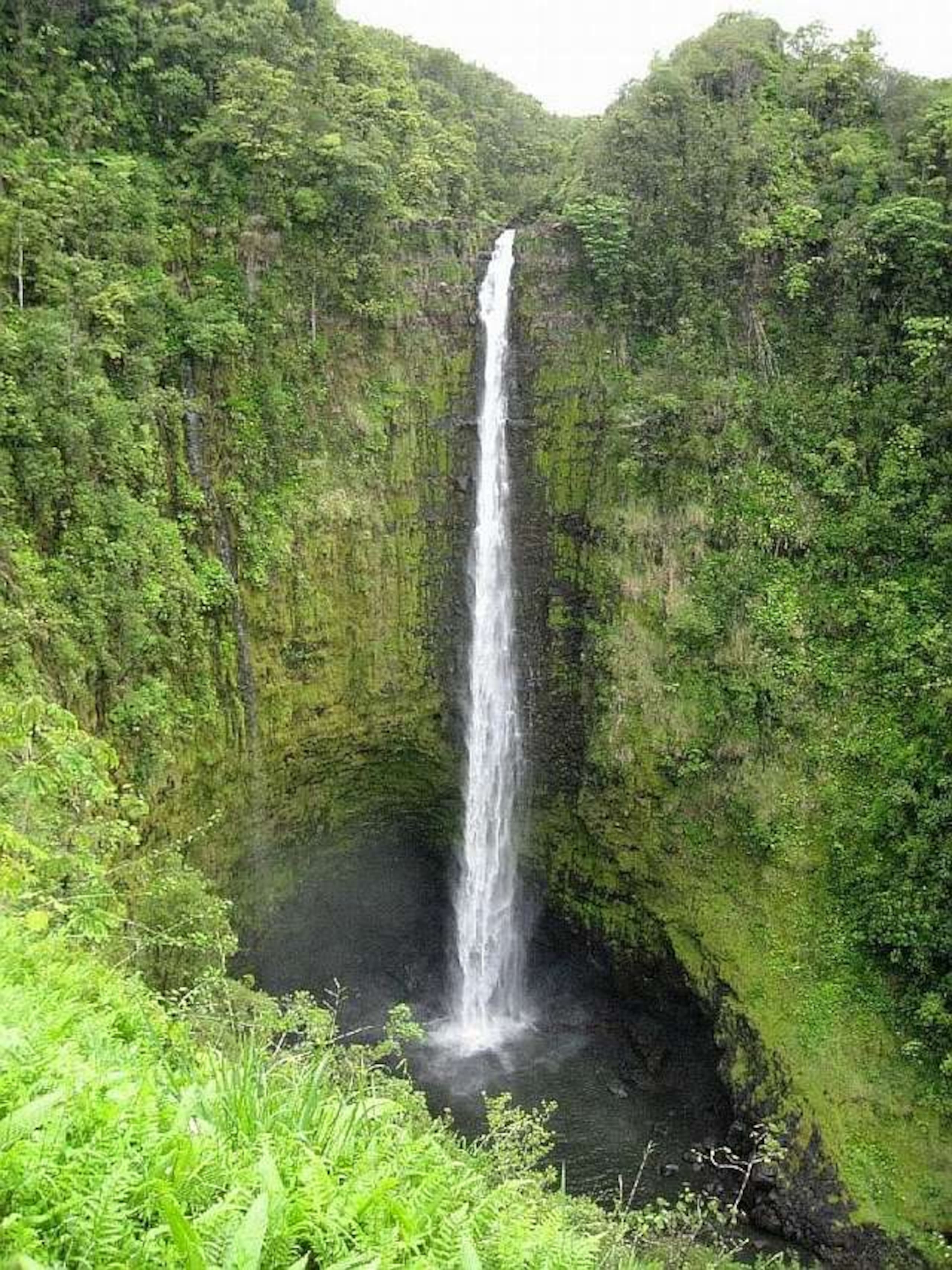 Condo in Hilo · ★4.72 · 2 bedrooms · 3 beds · 1 bath - Image 43