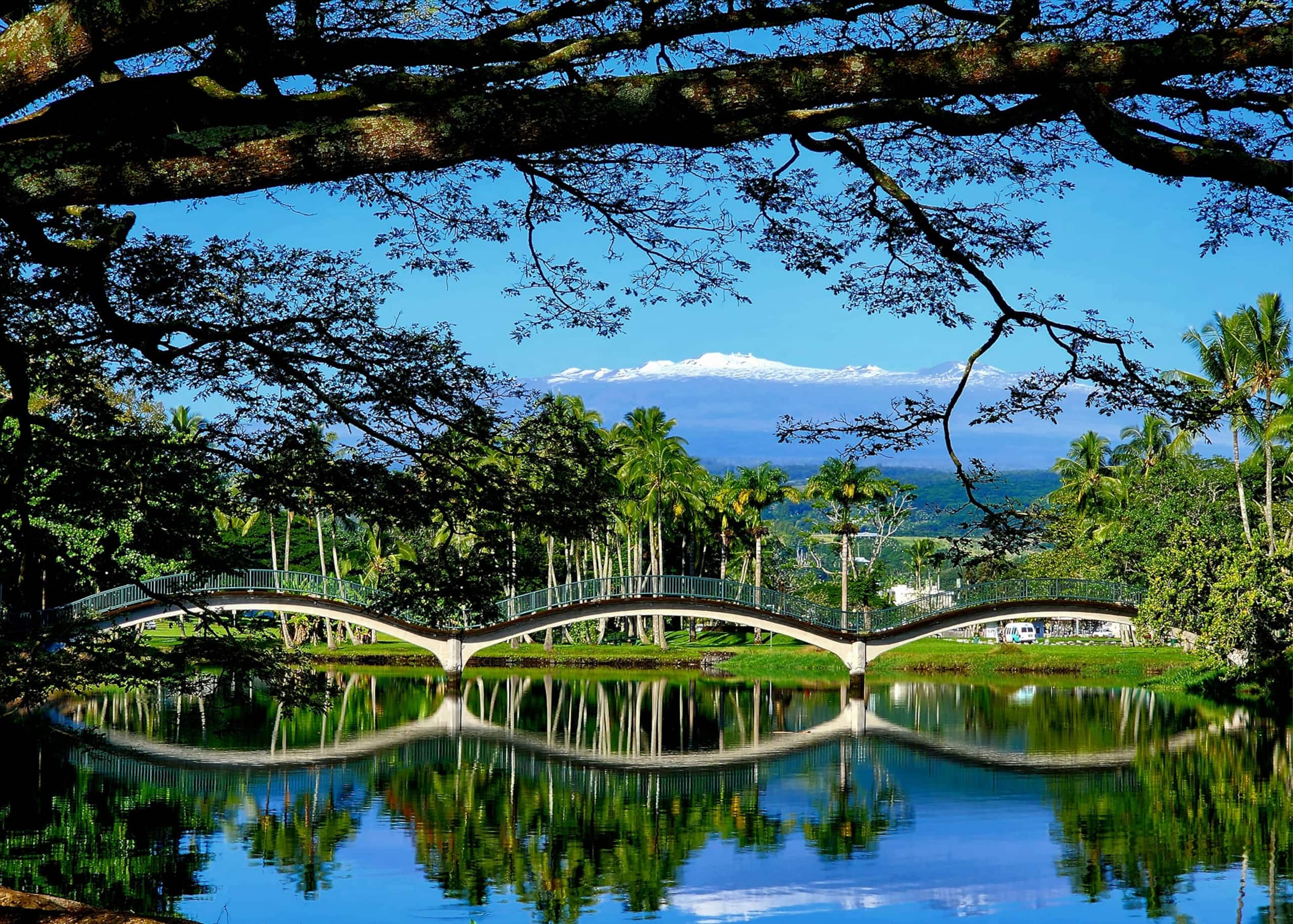Condo in Hilo · ★4.72 · 2 bedrooms · 3 beds · 1 bath - Image 40