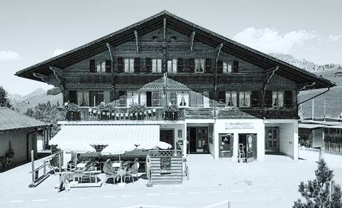 Large mountain home for group