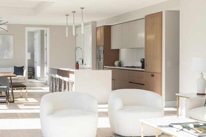 Luxury Loft Collection 01 – Terrace – River North gallery image 4