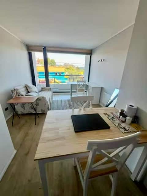 Successful Airbnb property: Apartment in Costanera, great location in Valdivia