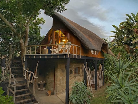Driftwood Treehouse by the Sea