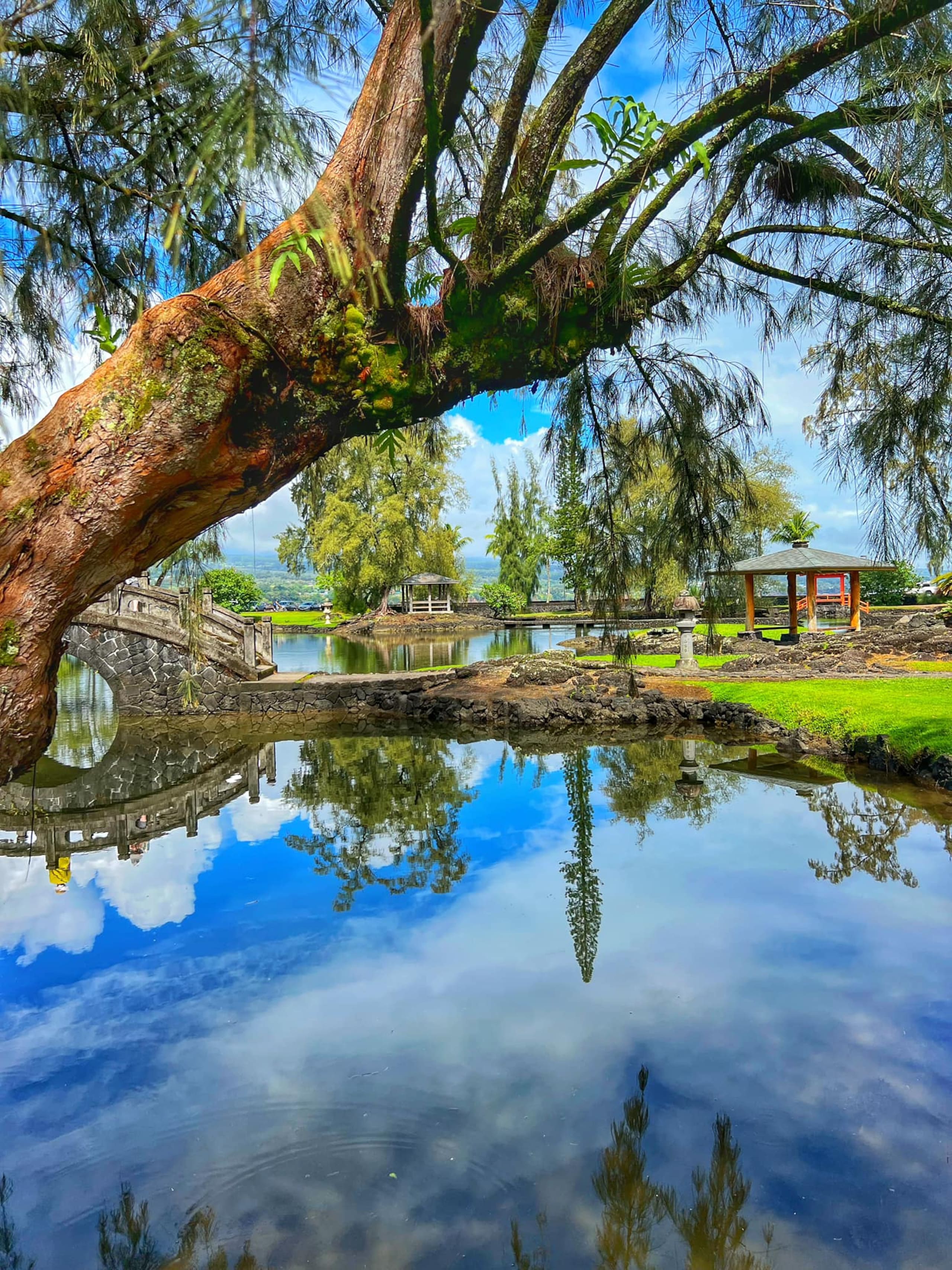 Condo in Hilo · ★4.67 · 2 bedrooms · 4 beds · 1 private bath - Image 38