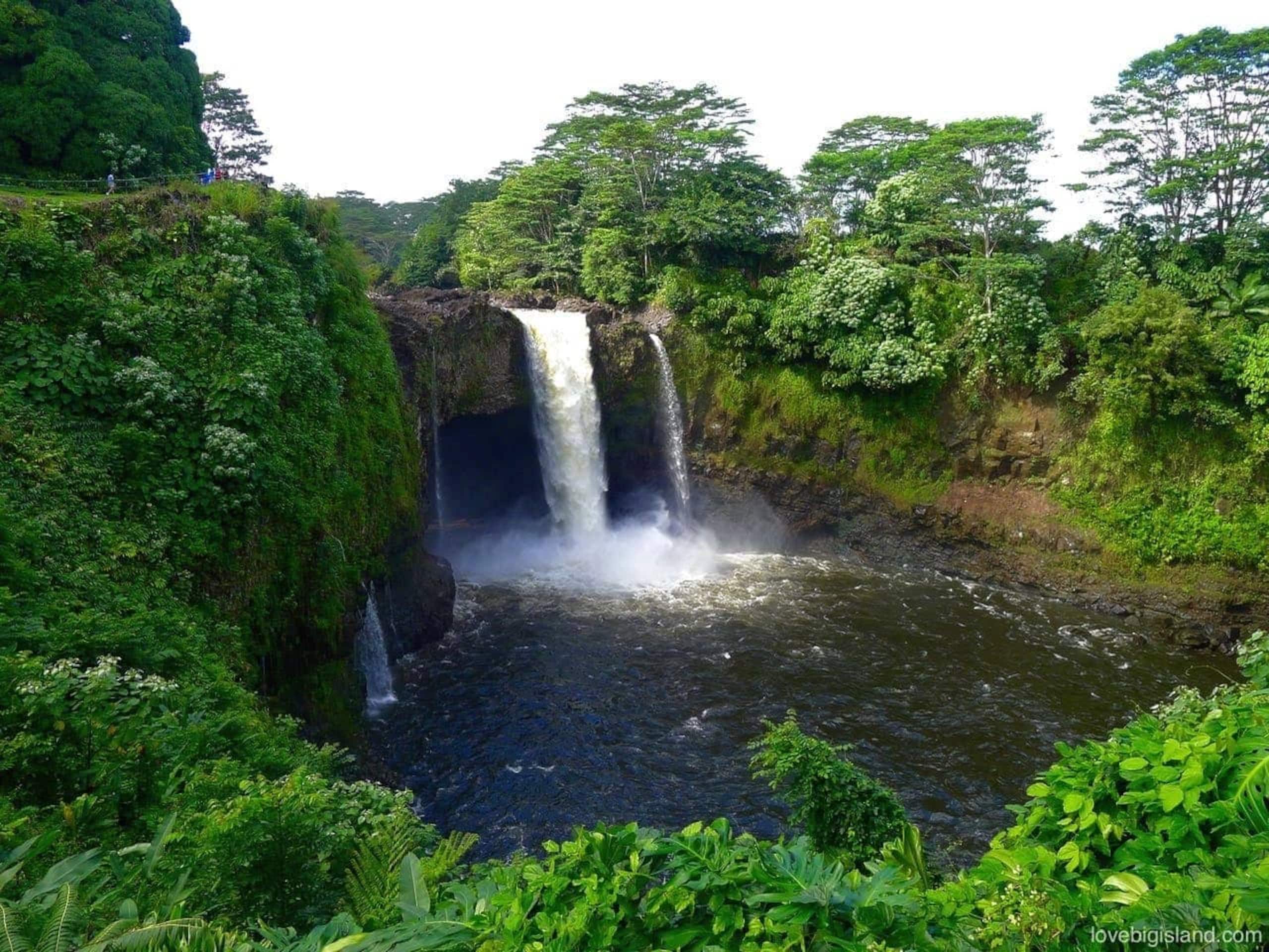 Condo in Hilo · ★4.67 · 2 bedrooms · 4 beds · 1 private bath - Image 42
