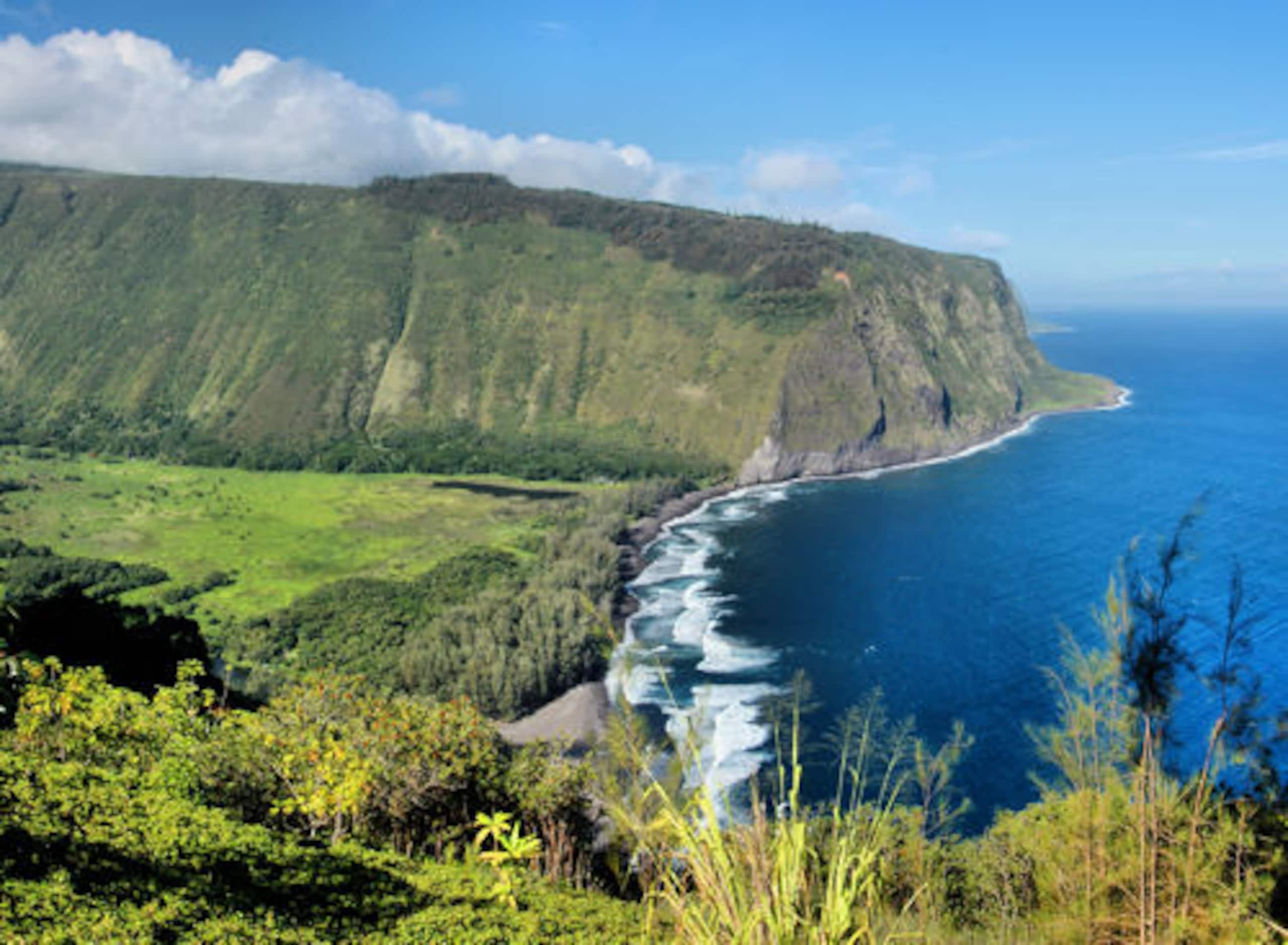 Condo in Hilo · ★4.67 · 2 bedrooms · 4 beds · 1 private bath - Image 59