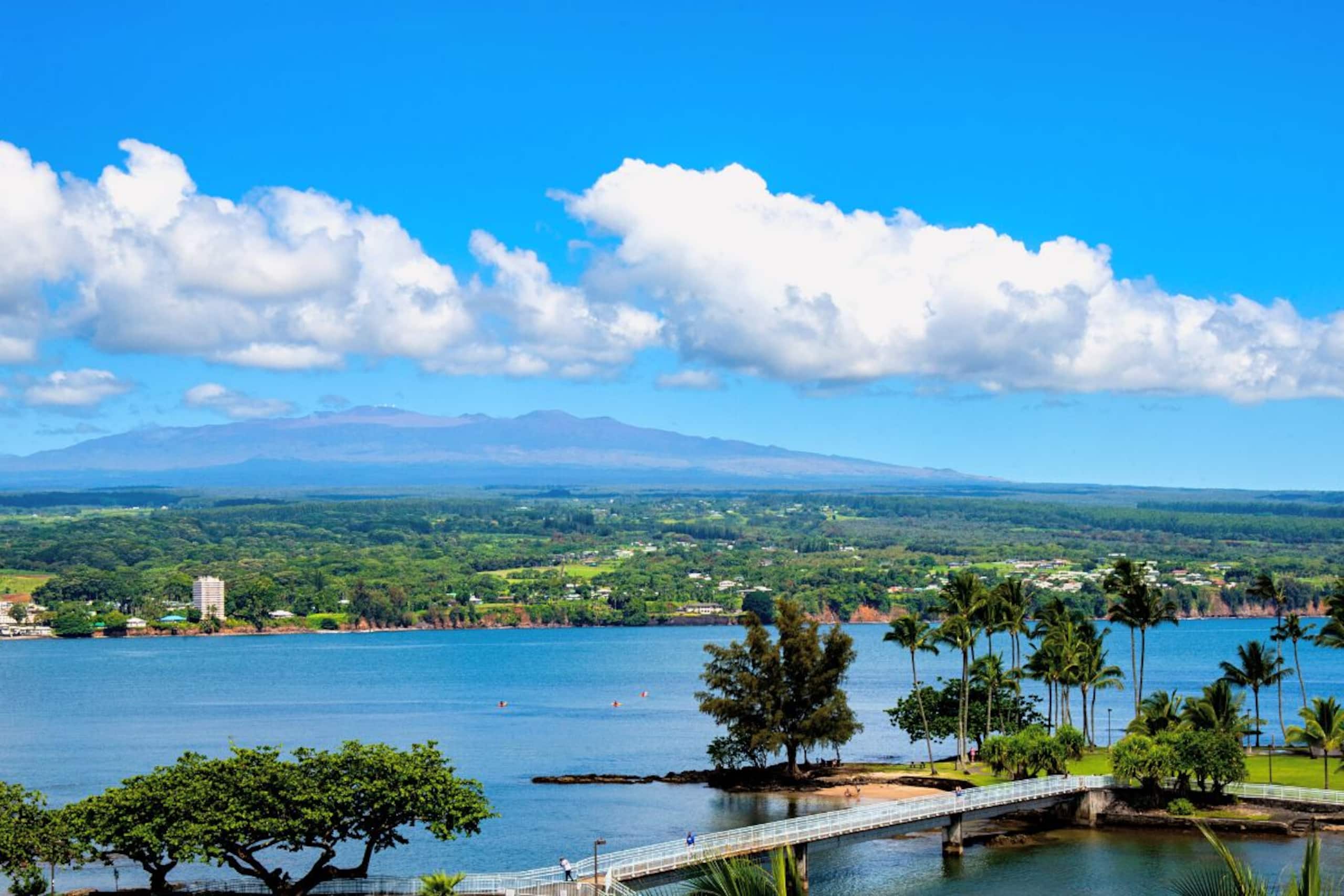 Condo in Hilo · ★4.67 · 2 bedrooms · 4 beds · 1 private bath - Image 40