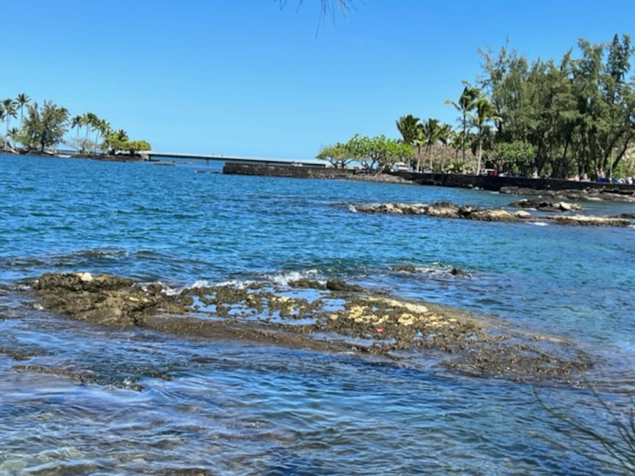 Condo in Hilo · ★4.67 · 2 bedrooms · 4 beds · 1 private bath - Image 21