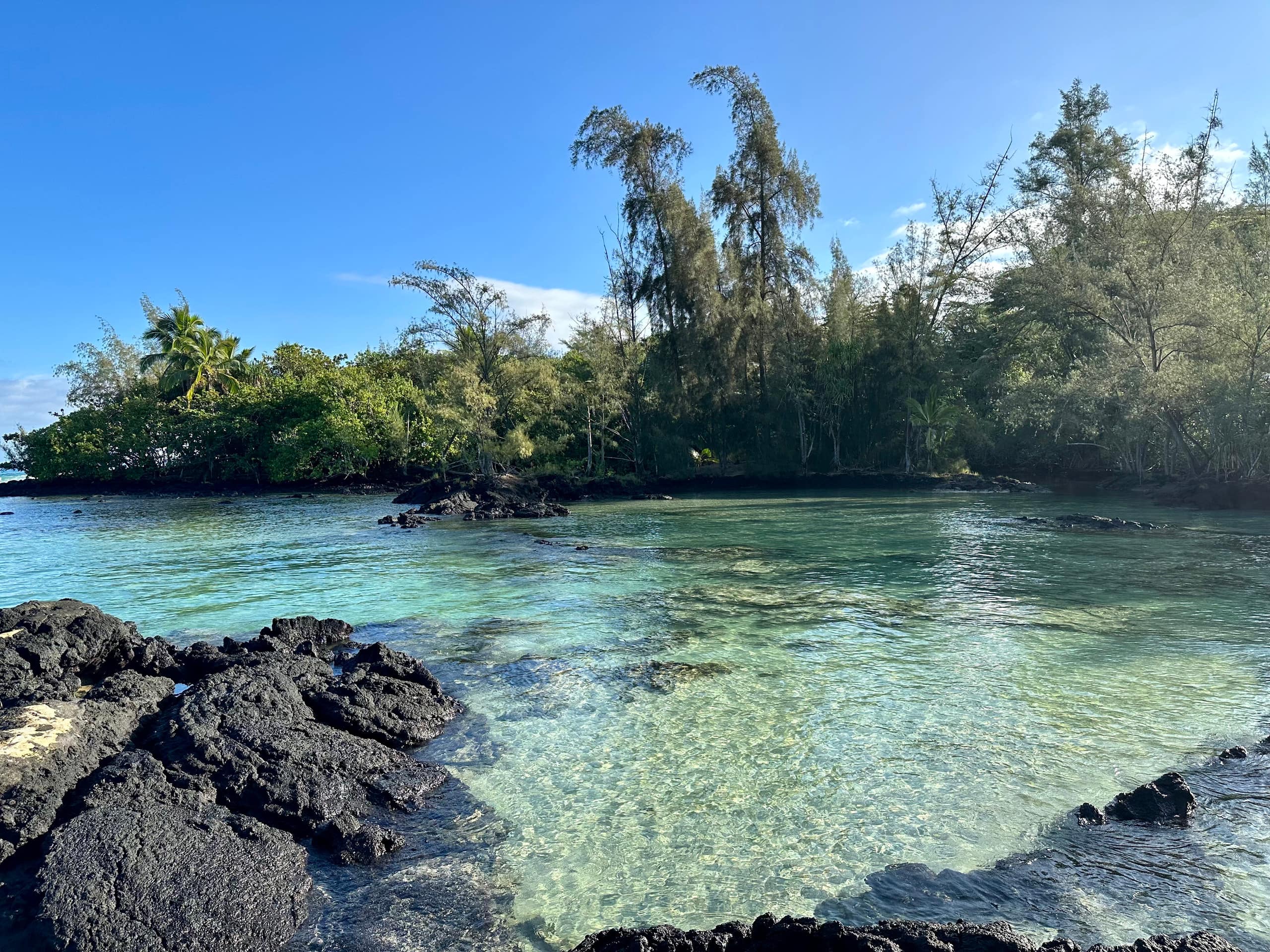 Condo in Hilo · ★4.67 · 2 bedrooms · 4 beds · 1 private bath - Image 18