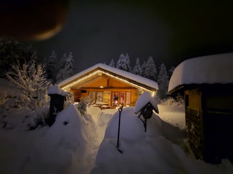 Log Cabin in Sankt Englmar
