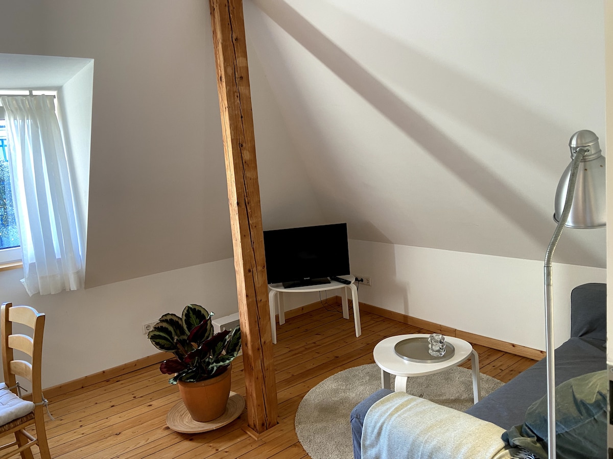 Annonce Airbnb populaire: Osnabrück, small DG apartment, close to the center à Osnabrück