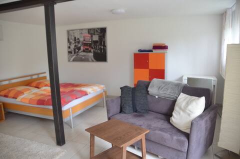 Bright apartment between Mannheim and Heidelberg