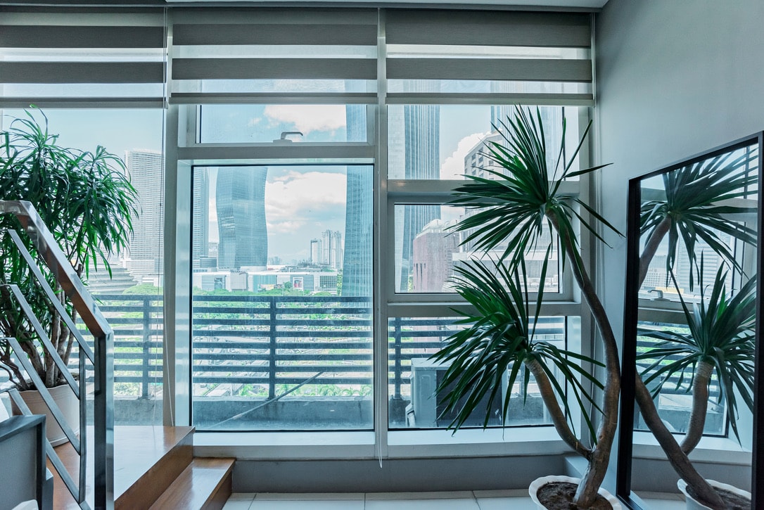Large windows provide a bright view of the city skyline, featuring modern buildings and greenery. A potted plant adds a touch of nature, complemented by a framed mirror. Soft natural light enhances the welcoming space, highlighting the loft's contemporary design.
