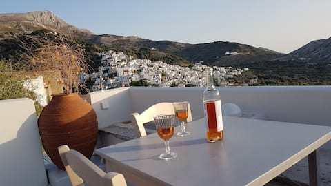 1875 panoramic stone house