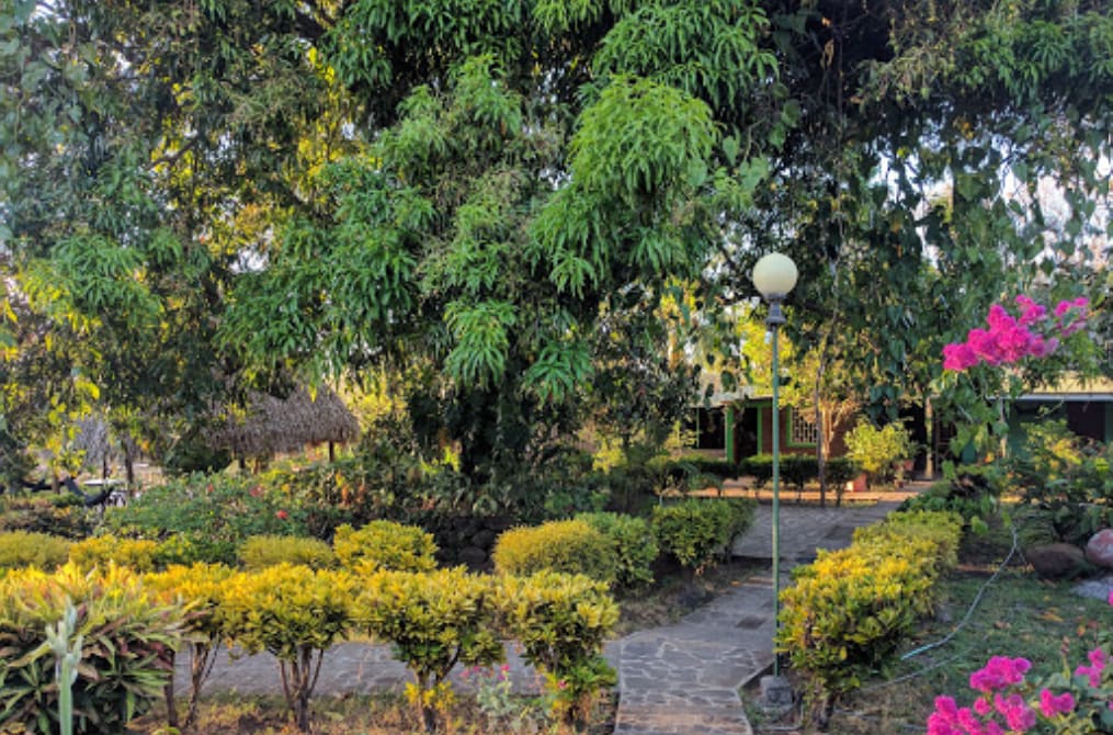 A well-maintained garden is highlighted by vibrant flowerbeds and lush shrubs. A stone pathway meanders through the greenery, leading to a shaded area beneath a large tree. A lamppost stands on the path, adding to the serene outdoor ambiance.