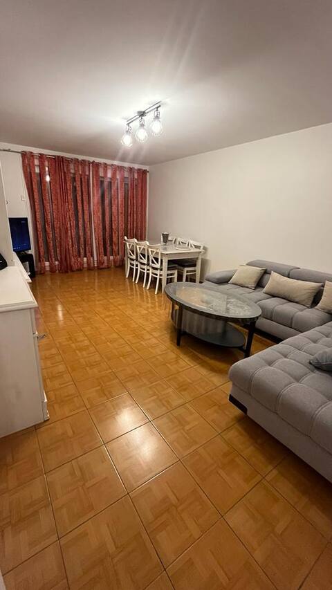 Large luxury apartment