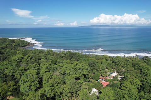 Beachfront Surfer’s Paradise