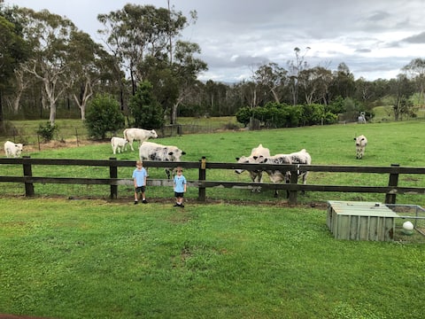 Popular Airbnb listing: Kangaroo Hill in Sussex Inlet