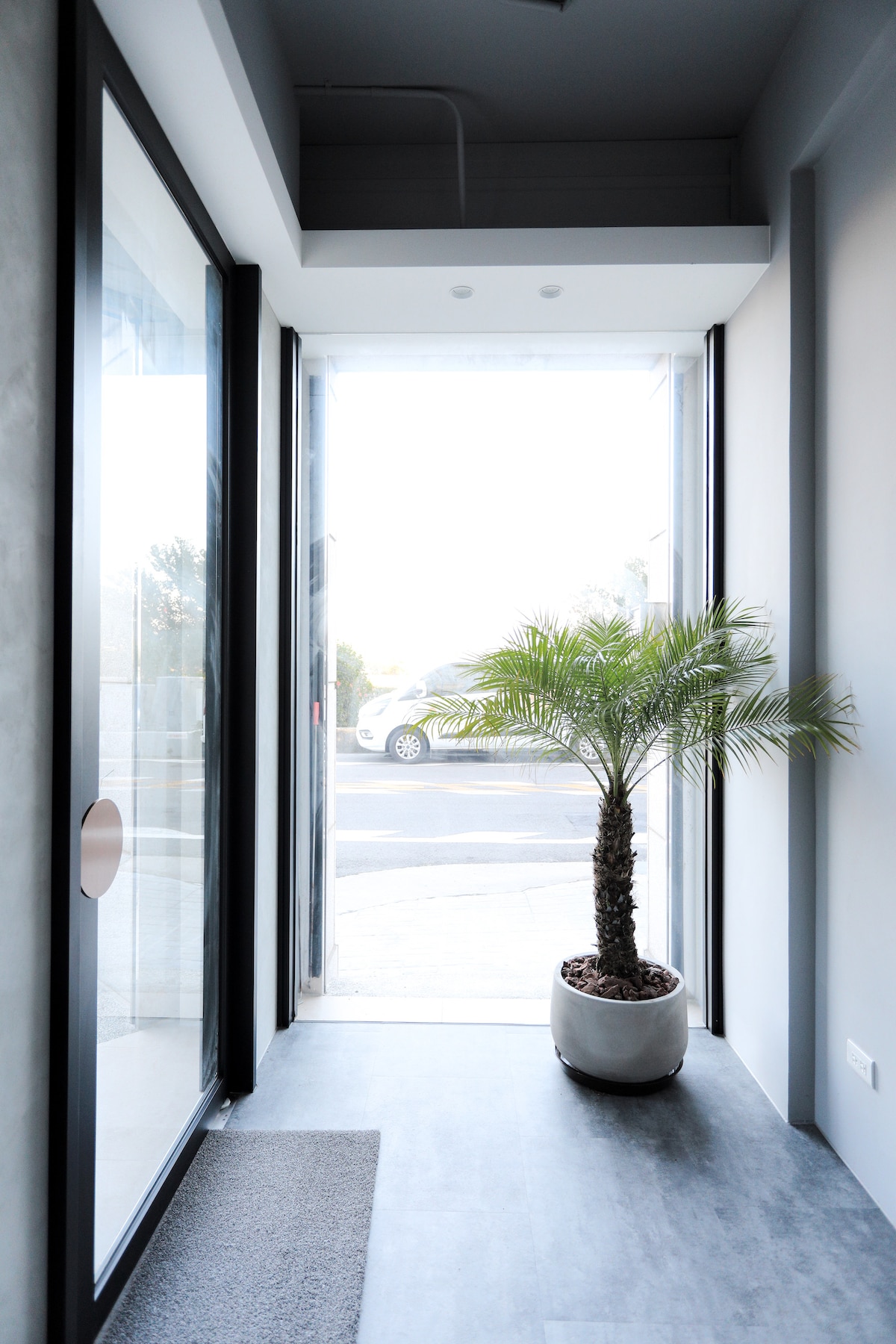 The entrance features a bright and airy hallway, highlighted by large glass doors. A potted palm adds a touch of greenery, while a soft mat lies on the floor. Natural light floods the space, creating an inviting first impression.
