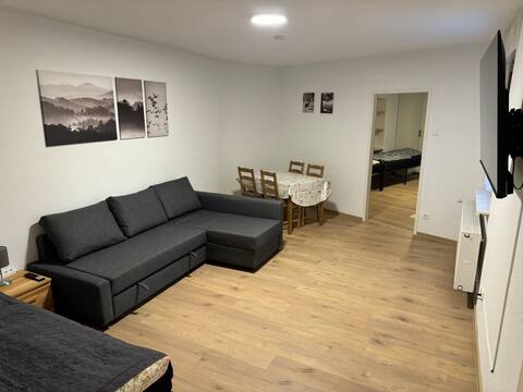 5 room downtown apt. with 2 bathrooms/kitchens/bar
