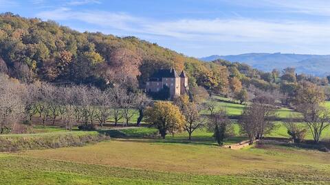 Manoir du Boscau, Louis IX