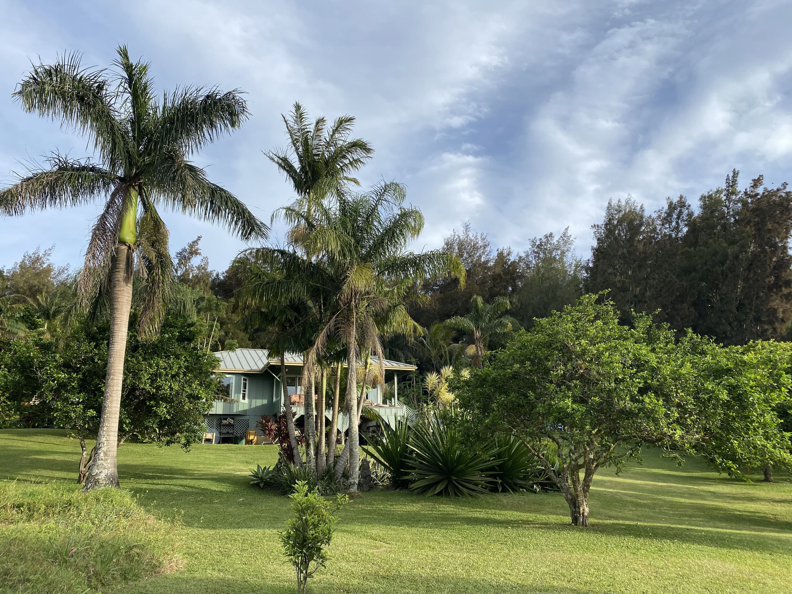 Aloha Cottage Upcountry Epic Views in Kohala - Photo 26