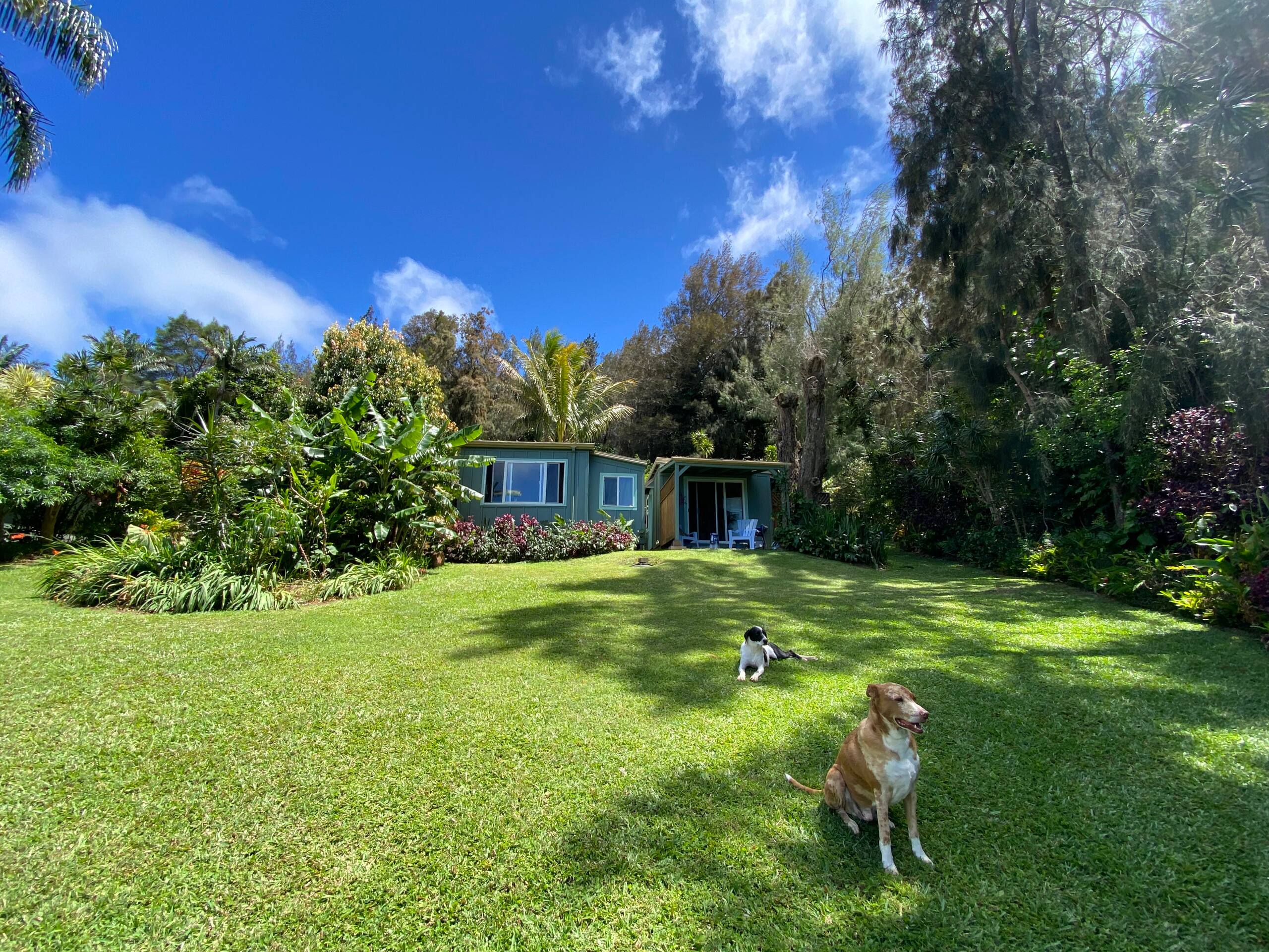 Aloha Cottage Upcountry Epic Views in Kohala - Photo 11