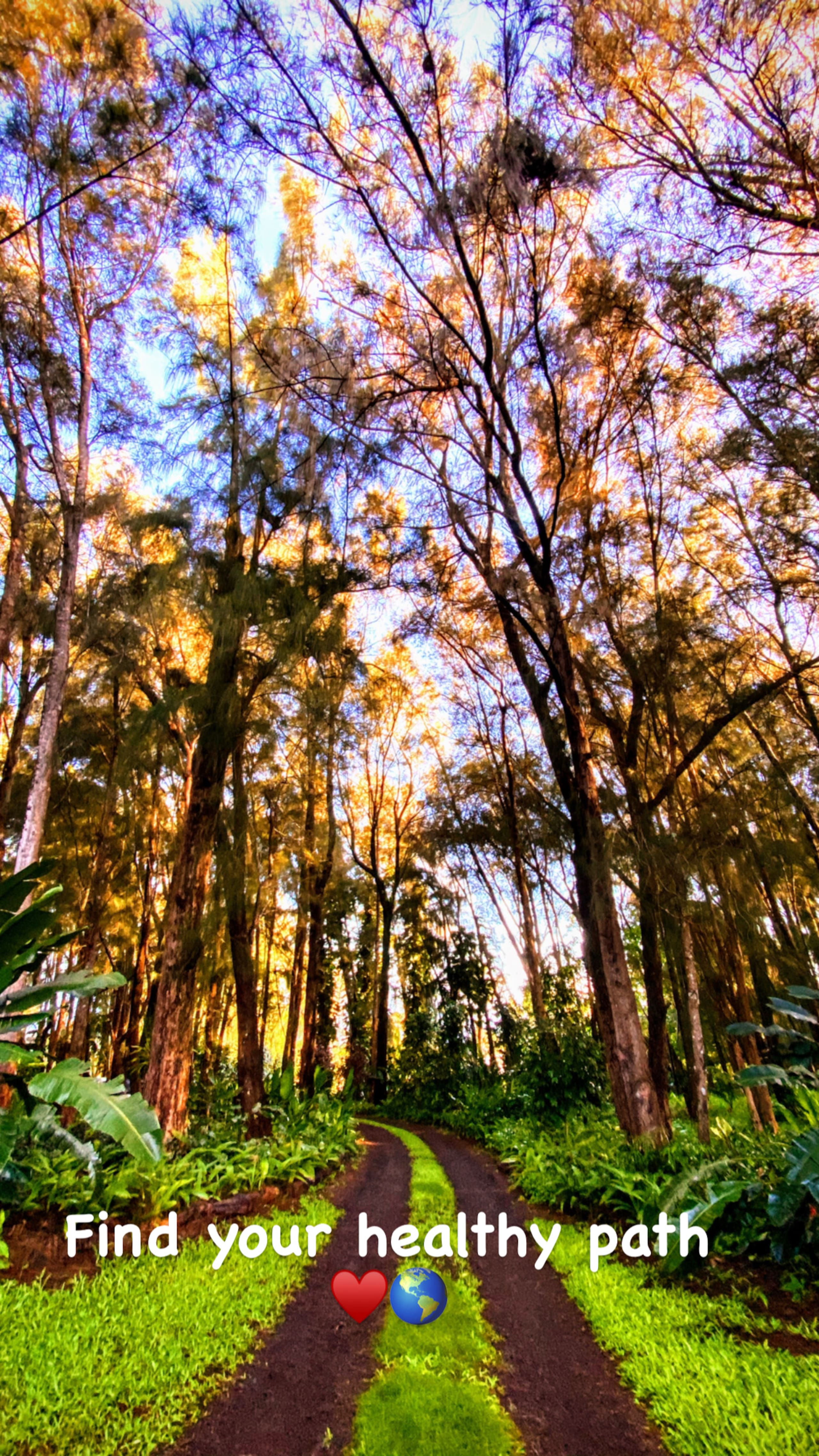 Aloha Cottage Upcountry Epic Views in Kohala - Photo 27