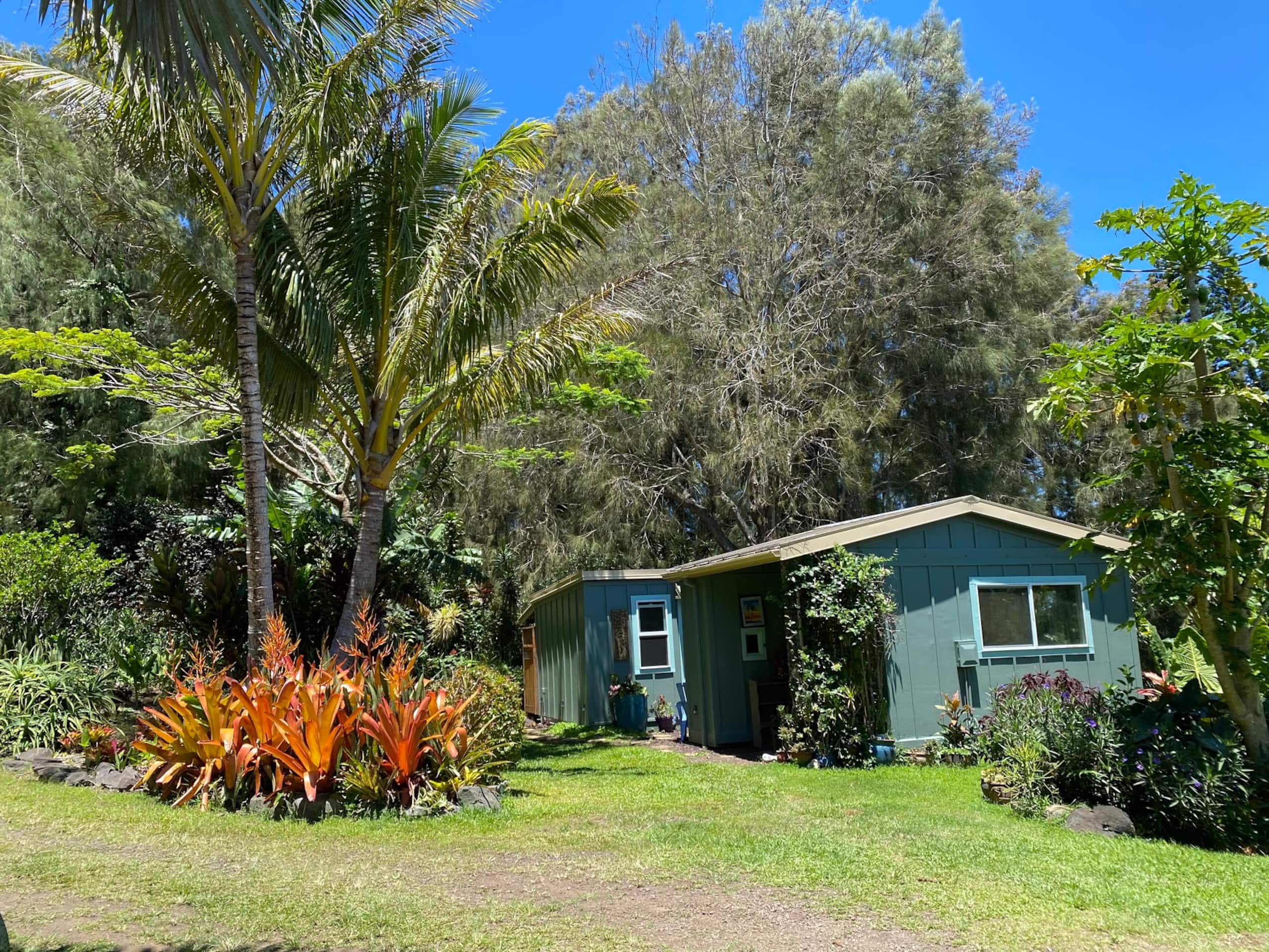 Aloha Cottage Upcountry Epic Views in Kohala - Photo 20