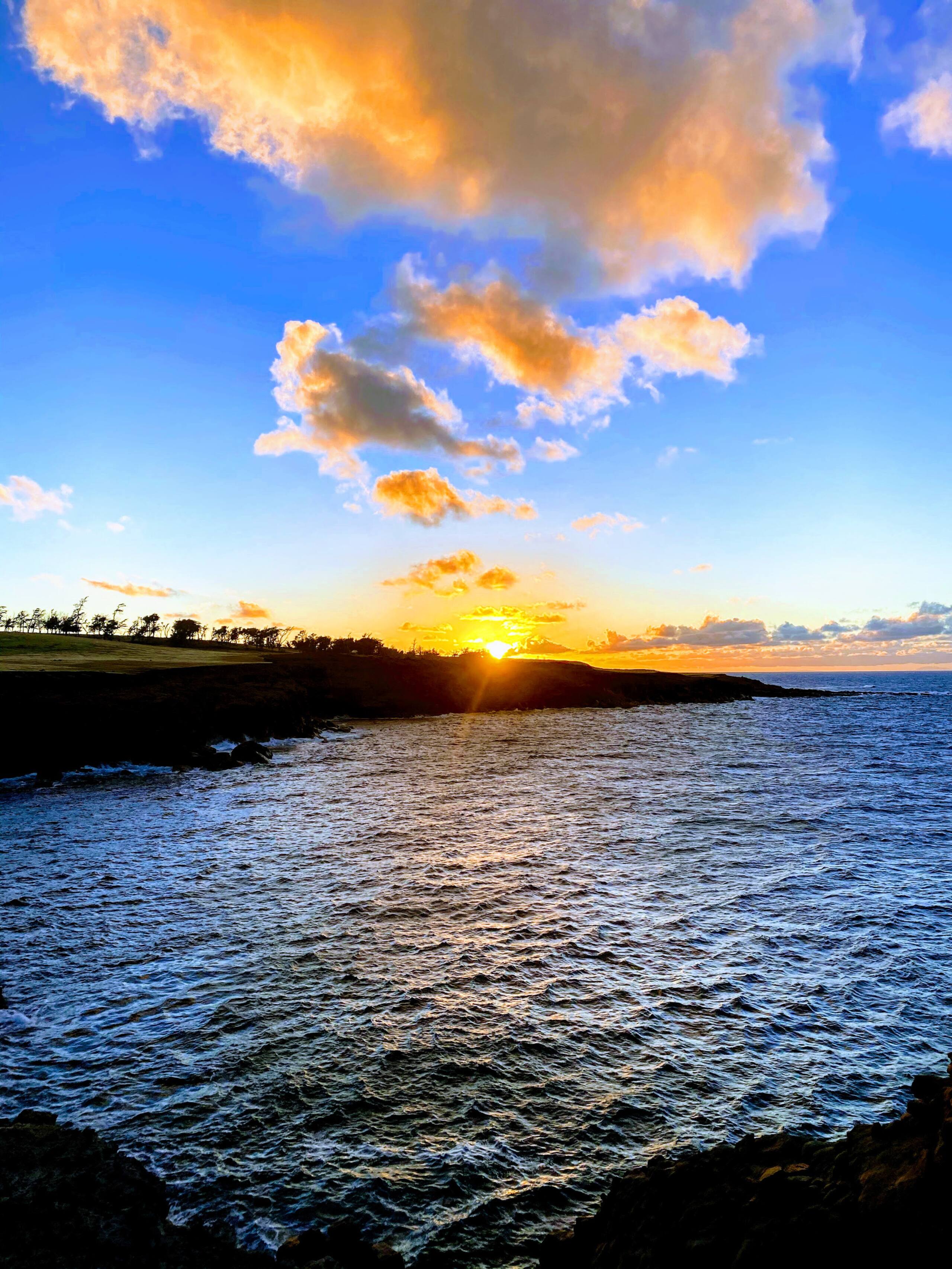 Aloha Cottage Upcountry Epic Views in Kohala - Photo 57