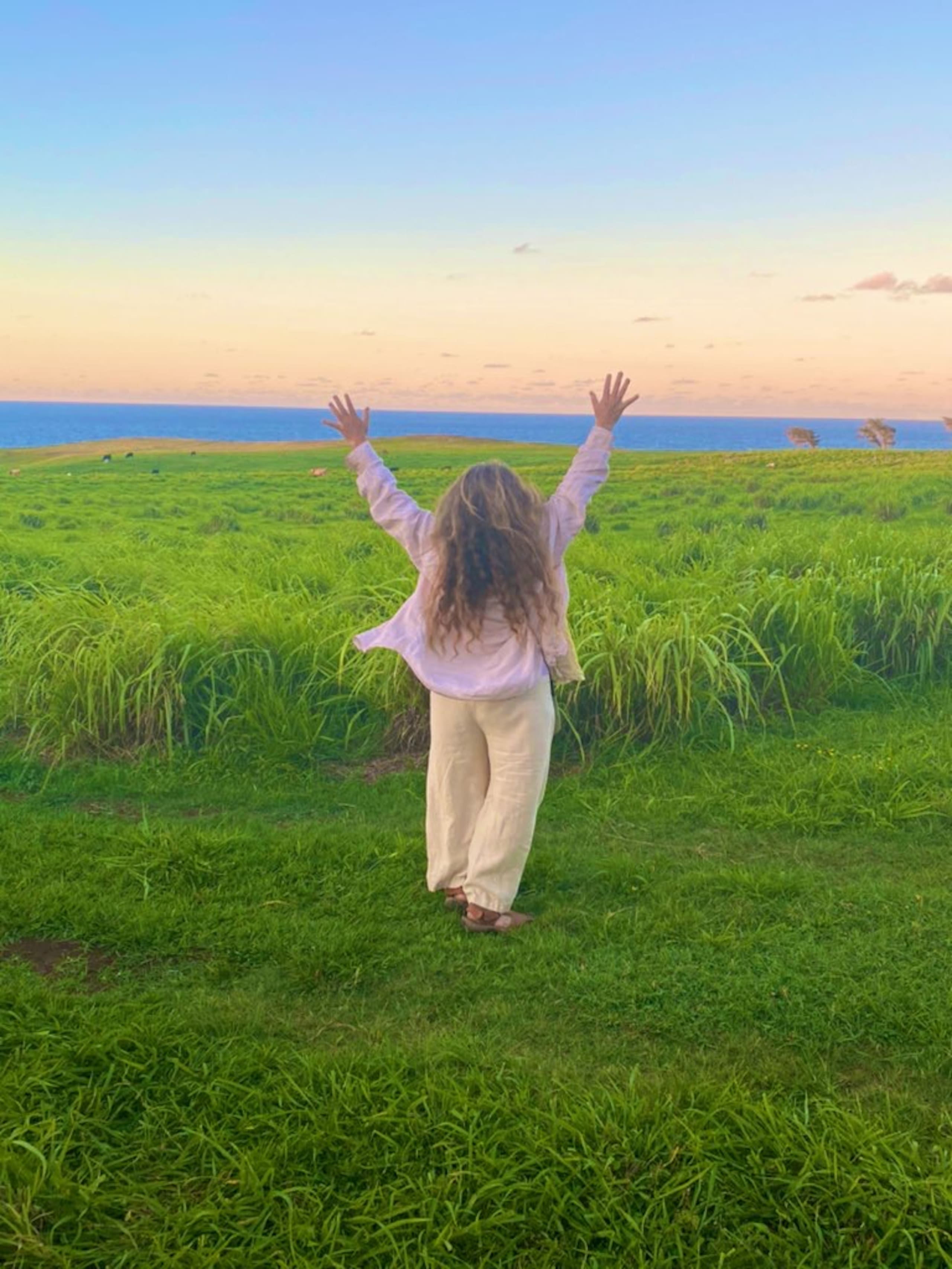 Aloha Cottage Upcountry Epic Views in Kohala - Photo 40