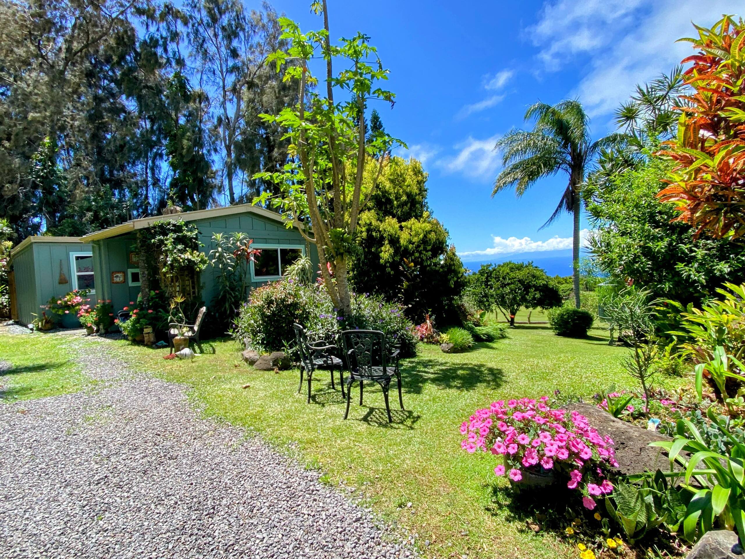 Aloha Cottage Upcountry Epic Views in Kohala - Photo 1