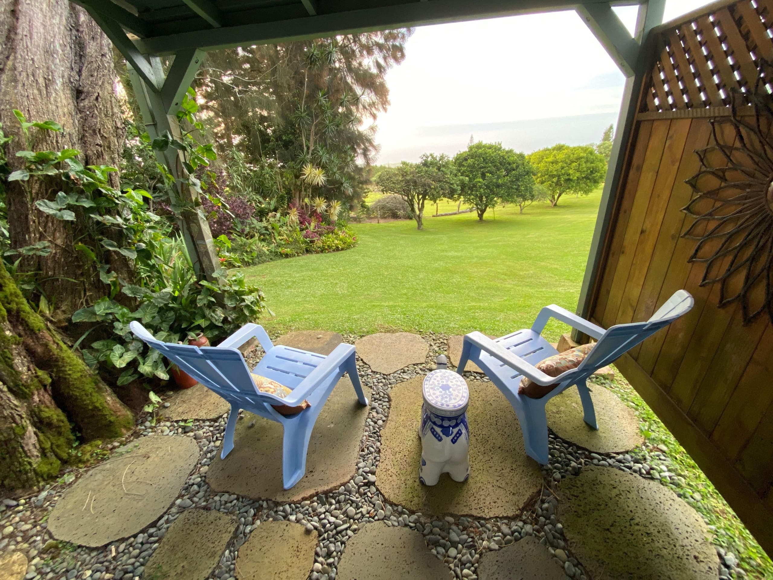 Aloha Cottage Upcountry Epic Views in Kohala - Photo 12