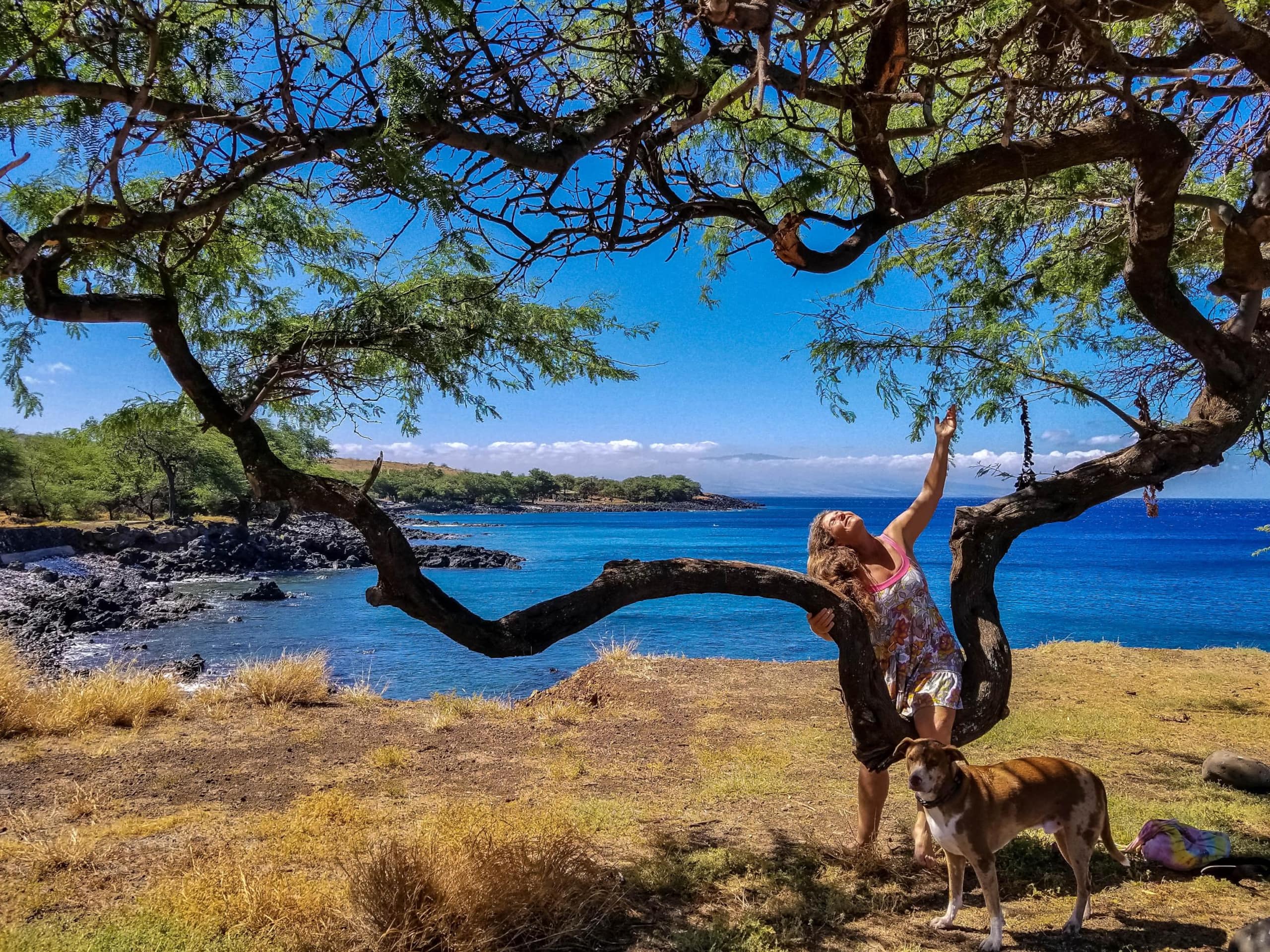 Aloha Cottage Upcountry Epic Views in Kohala - Photo 44
