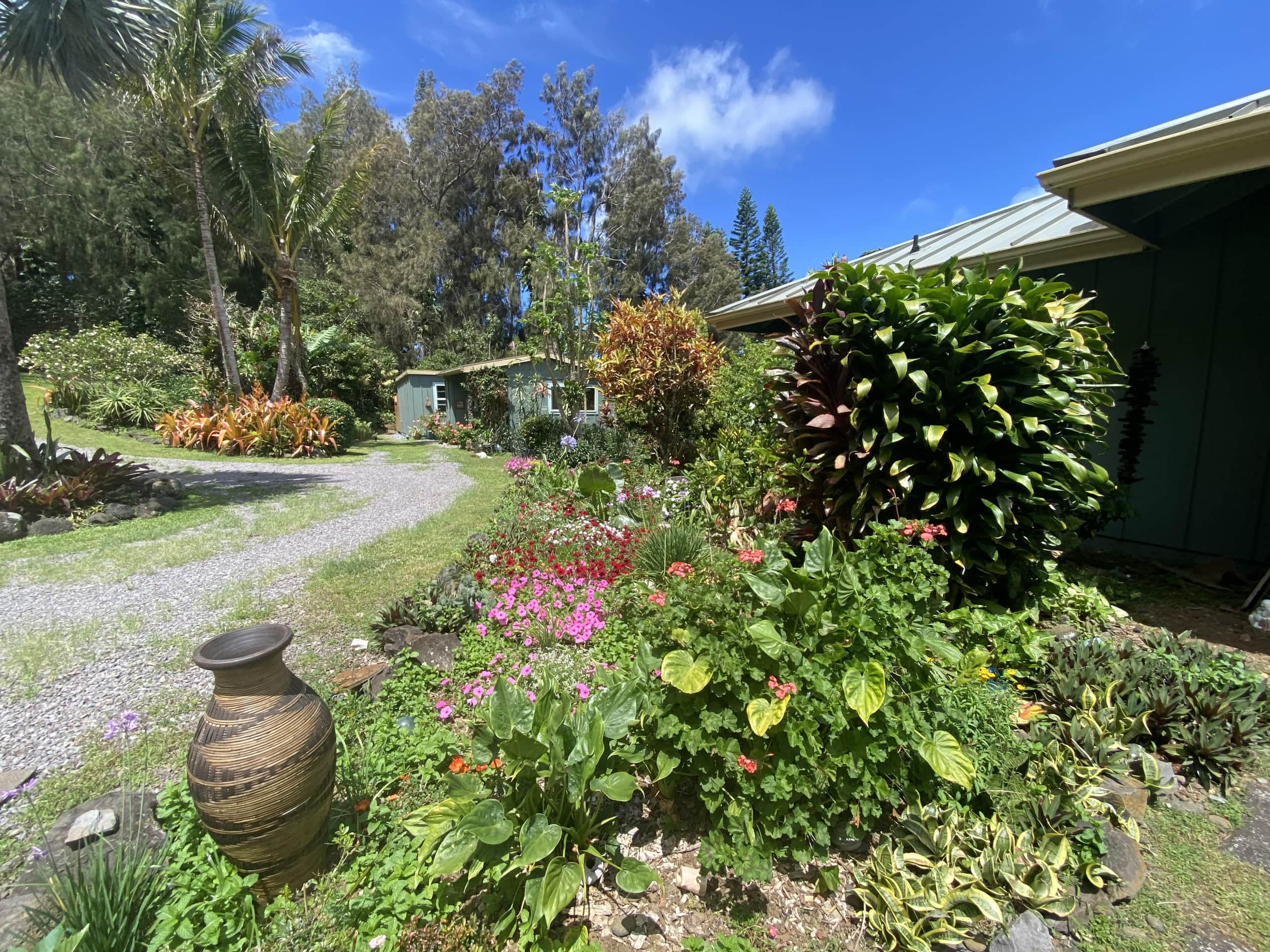 Aloha Cottage Upcountry Epic Views in Kohala - Photo 24