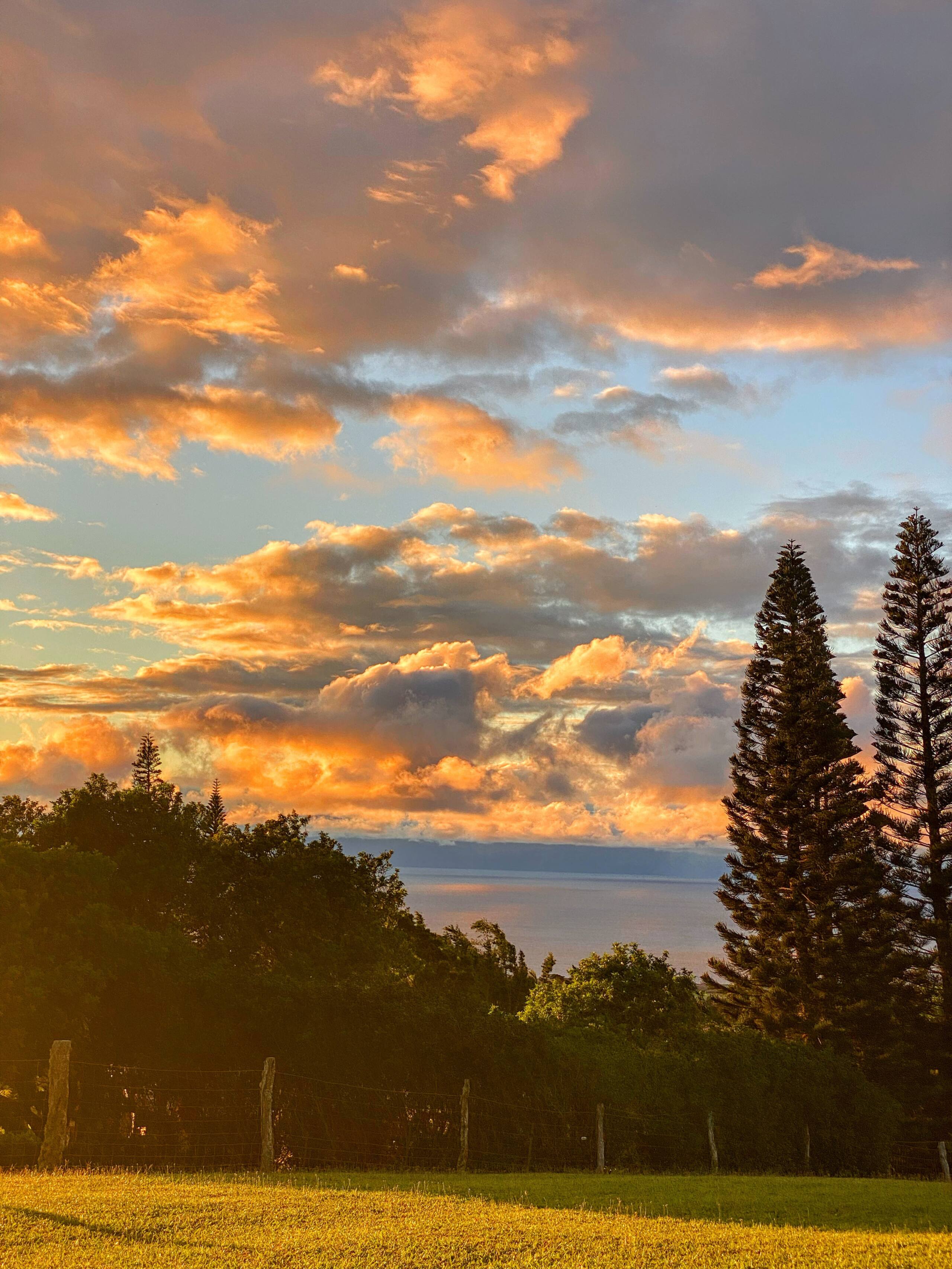 Aloha Cottage Upcountry Epic Views in Kohala - Photo 28